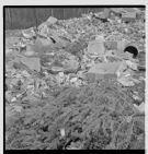 Garbage pile 